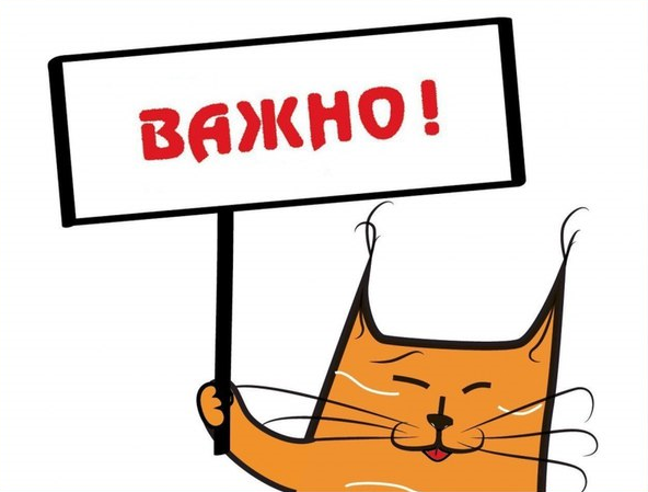 заказать выпускной фотоальбом для школы в Москве